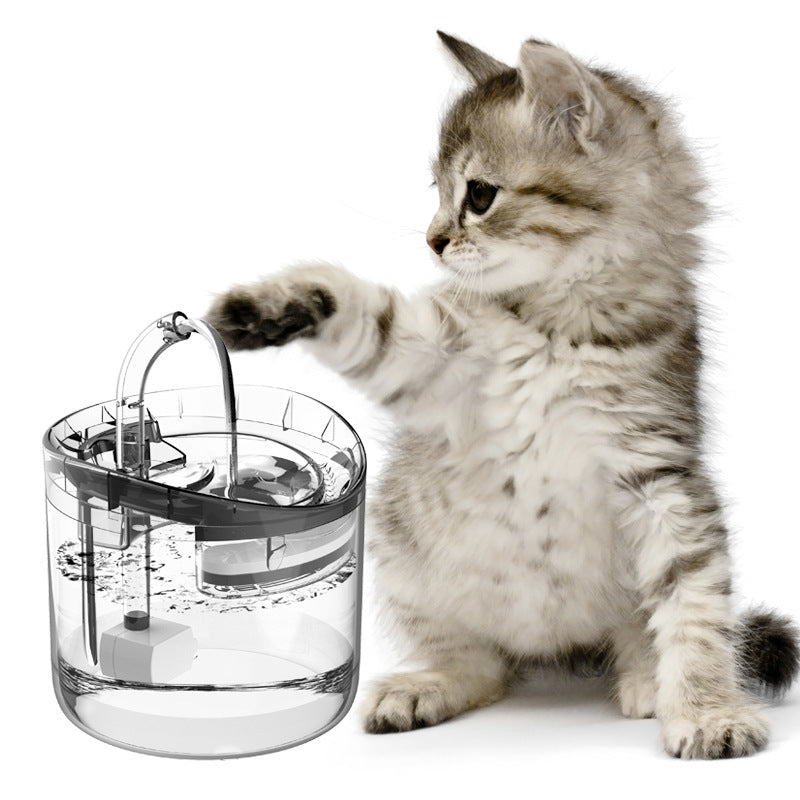 Distributeur d'eau pour animaux de compagnie, circulation automatique, chat