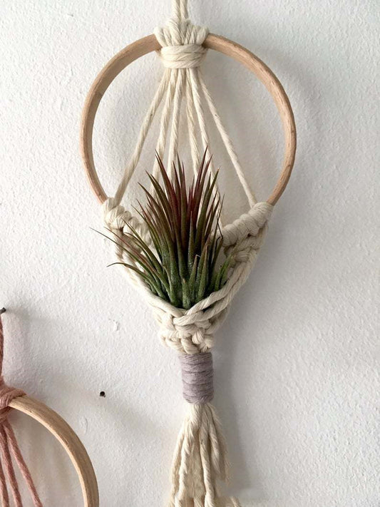 Air Green Flower Basket Mini Tapestries Wall